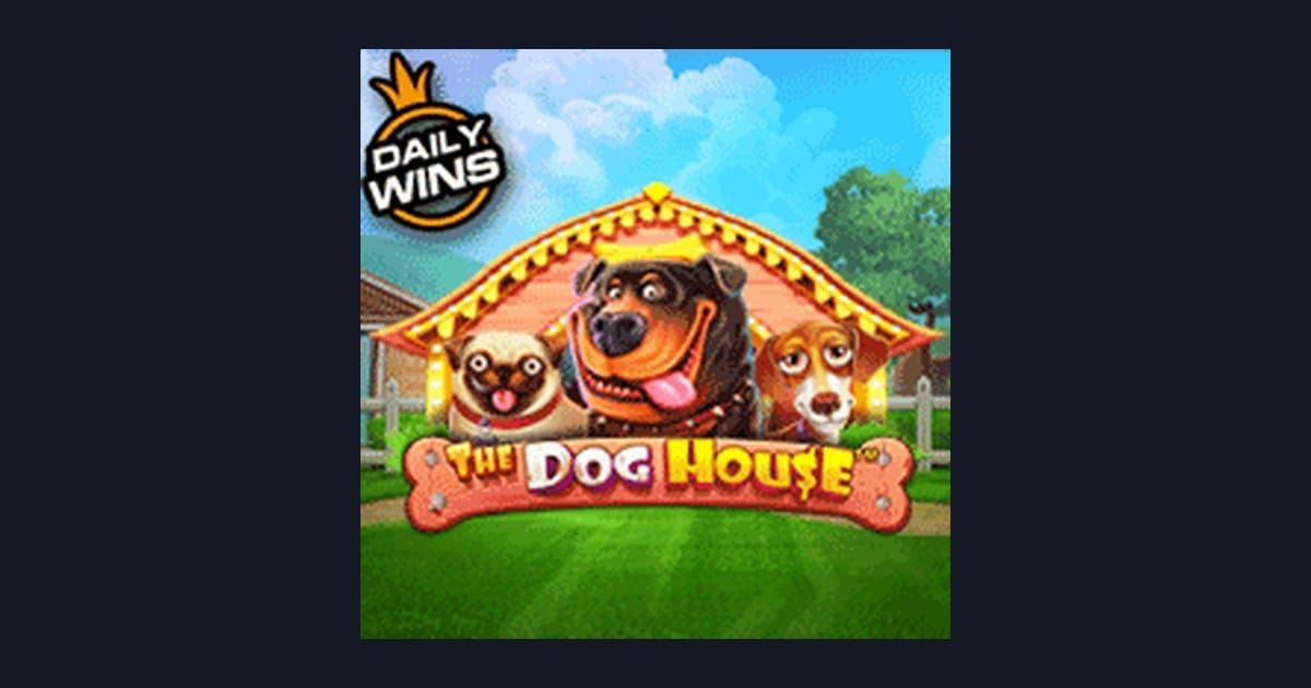 Mengenal Slot The Dog House: Fitur Unggulan & Tingkat Volatilitasnya