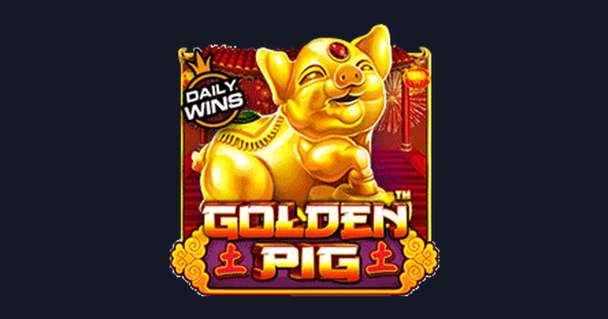 Tips Menang Buat Pemula di Slot Golden Pig dari Pragmatic Play